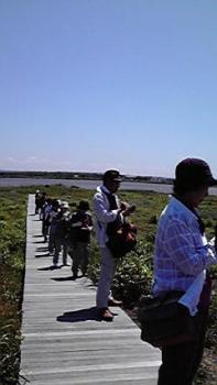 197(W)×350(H) 11.43