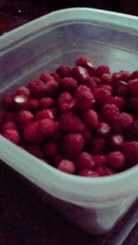 197(W)×350(H) 10.98