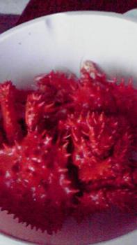 197(W)×350(H) 10.84