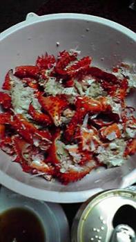 197(W)×350(H) 16.62