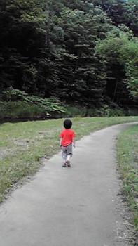 197(W)×350(H) 13.84