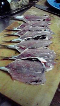 197(W)×350(H) 14.67