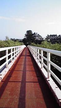 197(W)×350(H) 13.67