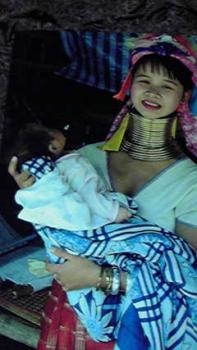 197(W)×350(H) 15.49