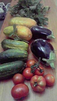 197(W)×350(H) 13.52