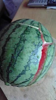 197(W)×350(H) 11.96