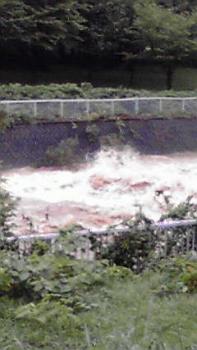 197(W)×350(H) 14.01