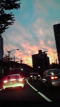 197(W)×350(H) 11.03