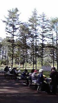 197(W)×350(H) 19.59