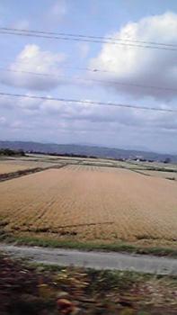 197(W)×350(H) 10.45