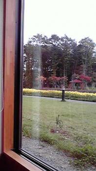 197(W)×350(H) 14.88