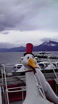 197(W)×350(H) 11.59