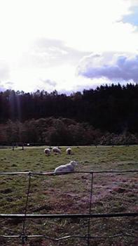 197(W)×350(H) 11.93