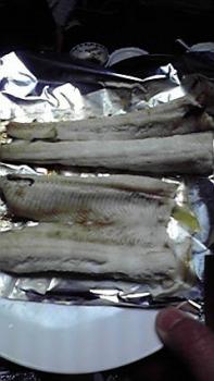 197(W)×350(H) 13.34