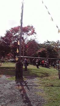 197(W)×350(H) 14.66