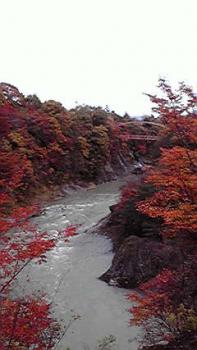 197(W)×350(H) 13.83