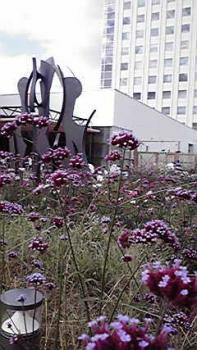 197(W)×350(H) 20.29