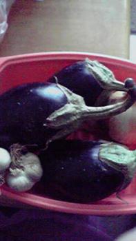 197(W)×350(H) 11.17