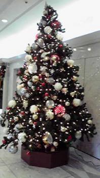 197(W)×350(H) 16.35