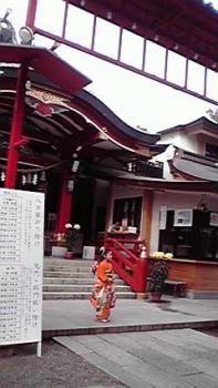 197(W)×350(H) 16.83