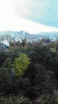 197(W)×350(H) 12.36