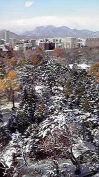 197(W)×350(H) 23.15