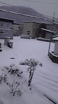 197(W)×350(H) 11.71