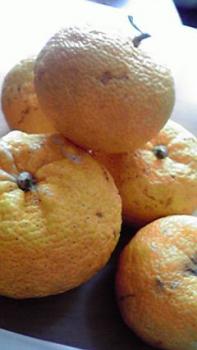 197(W)×350(H) 11.24