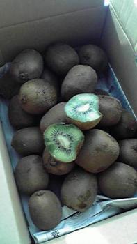 197(W)×350(H) 11.44