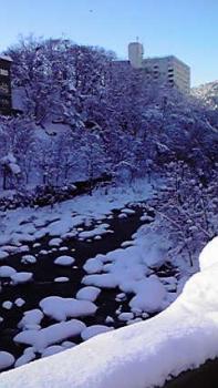 197(W)×350(H) 16.77