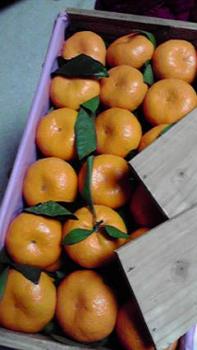 197(W)×350(H) 13.46