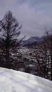 197(W)×350(H) 13.37