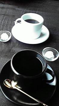 197(W)×350(H) 12.16