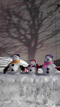 197(W)×350(H) 13.04