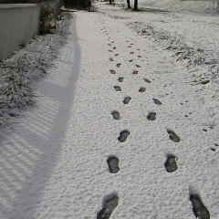 ファイル名: 2012112210000000.jpg
ファイルサイズ: 7.64KB 240(W)×240(H) 7.64