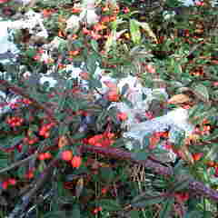 ファイル名: 2012112210080003.jpg
ファイルサイズ: 7.29KB 240(W)×240(H) 7.29