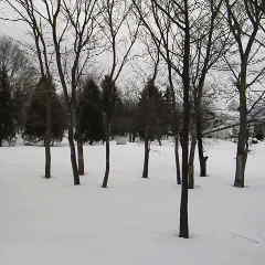 ファイル名: 2013031808580000.jpg
ファイルサイズ: 9.17KB 240(W)×240(H) 9.17