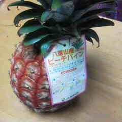 ファイル名: 2013041118490000.jpg
ファイルサイズ: 6.4KB 240(W)×240(H) 6.4