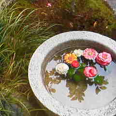 ファイル名: 2013042312310001.jpg
ファイルサイズ: 7.93KB 240(W)×240(H) 7.93