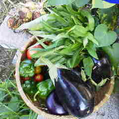 ファイル名: 2013082406230001.jpg
ファイルサイズ: 7.7KB 240(W)×240(H) 7.7