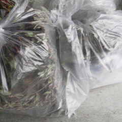 ファイル名: 2013101516220000.jpg
ファイルサイズ: 7.41KB 240(W)×240(H) 7.41