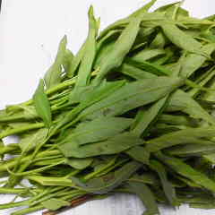 ファイル名: 2013101516360000.jpg
ファイルサイズ: 7.99KB 240(W)×240(H) 7.99