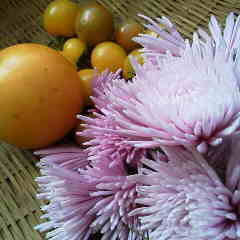 ファイル名: 2013101908220000.jpg
ファイルサイズ: 7.95KB 240(W)×240(H) 7.95