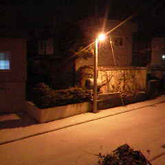 ファイル名: 2013111117100000.jpg
ファイルサイズ: 6.01KB 240(W)×240(H) 6.01