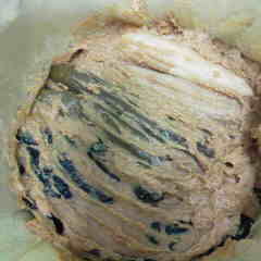 ファイル名: 2013111301190001.jpg
ファイルサイズ: 6.67KB 240(W)×240(H) 6.67