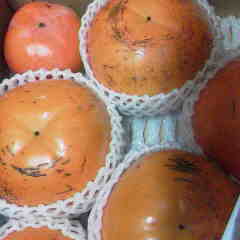 ファイル名: 2013111618400003.jpg
ファイルサイズ: 6.08KB 240(W)×240(H) 6.08