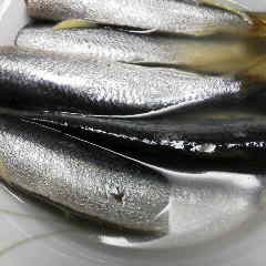 ファイル名: 2013121217320000.jpg
ファイルサイズ: 8.2KB 240(W)×240(H) 8.2