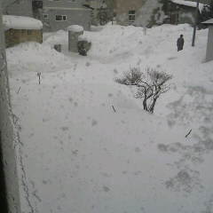 ファイル名: 2014012615520001.jpg
ファイルサイズ: 7.66KB 240(W)×240(H) 7.66