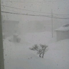 ファイル名: 2014013113010000.jpg
ファイルサイズ: 7.15KB 240(W)×240(H) 7.15