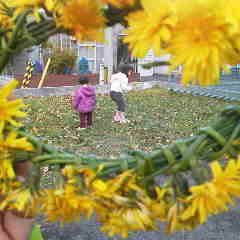 ファイル名: 2014110913560002.jpg
ファイルサイズ: 7.94KB 240(W)×240(H) 7.94